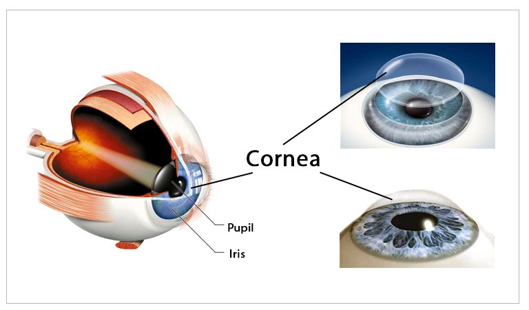 Best Cornea Specialist in Punjab